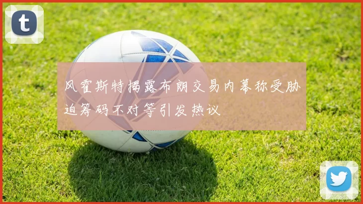 风霍斯特揭露布朗交易内幕称受胁迫筹码不对等引发热议